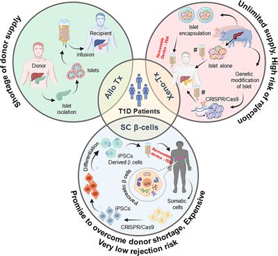 The future treatment for type 1 diabetes: Pig islet- or stem cell-derived β cells?